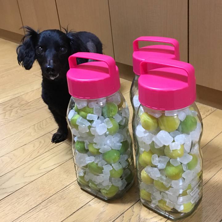 98fc0549 cc32 45ce bb5b 03b57aed3512 1528495277167