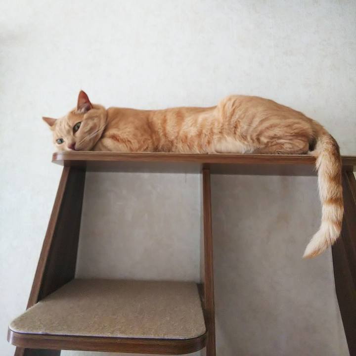 98fc0a54 3c12 4353 bfe0 3d428bf1eb28 1593244523922