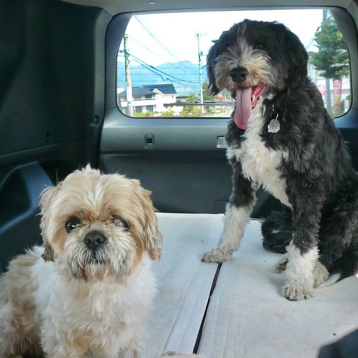 98fc168d 32cc 4088 9310 e8dc49f6b776 1582719288642