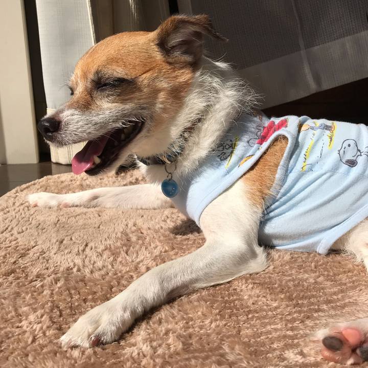 98fc368d 4486 4084 b0e5 e4ede6766c9f 1538373633392