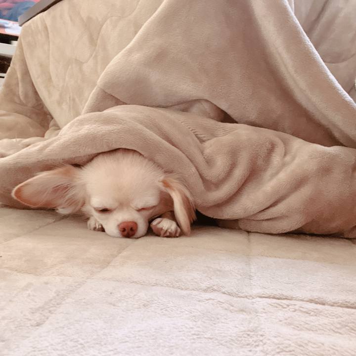 98fc4322 2962 42fe b15b 32f6b07068a3 1668742709106