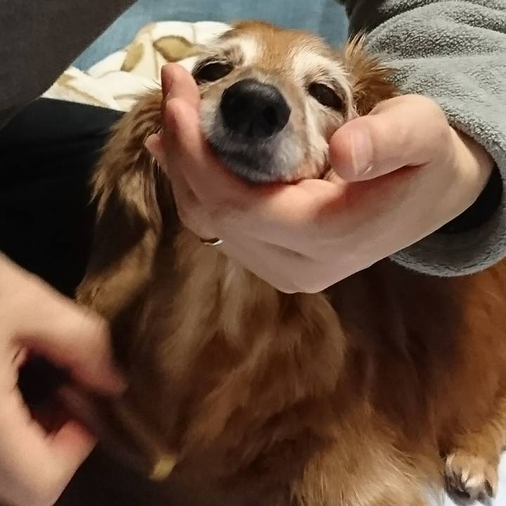 98fccad0 13d0 4a0c b227 bc53e53748b9 1519123544305