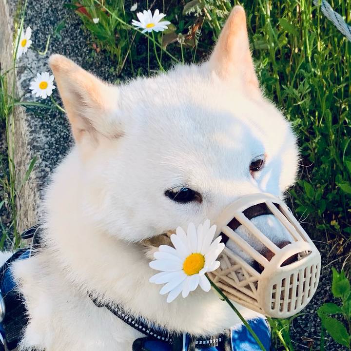 98fccc4d 6504 4f4e 9db3 0cccffd55789 1623189238345