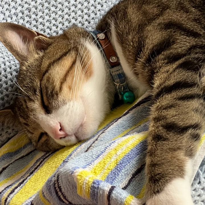 98fcdc58 cad6 44b1 9f9f 39f92a9bb124 1725683265722