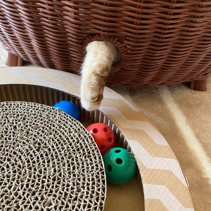 98fcf807 8bc3 45e7 bd73 f4388c94c817 1615855177677