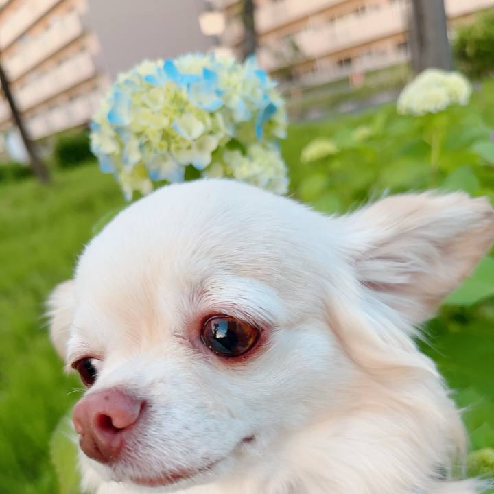 98fcfb9d 10da 4152 bf43 895c43d4a15e 1715939061795