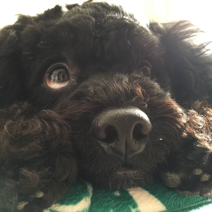 98fd486a 4673 46da 8d9a 2041f0cadbab 1523637253481