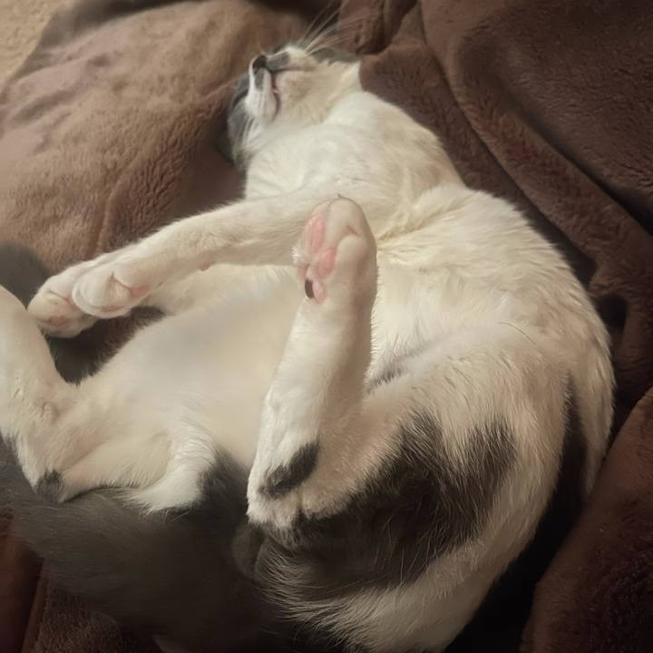 98fd54bc 5927 4cc6 b453 01097602236b 1642469549514