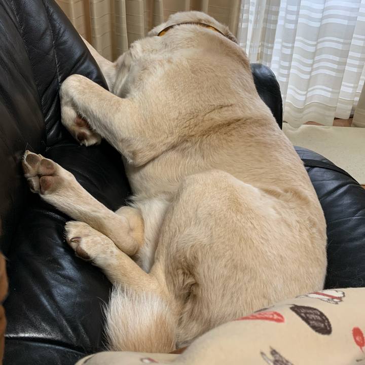 98fd7f0d a771 4218 b1f0 e7199b62fe43 1578812032906