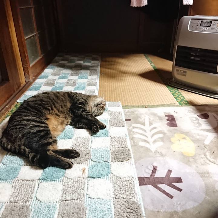 98fd94d6 4cfd 4668 92c3 c17153df6ef9 1639863317916