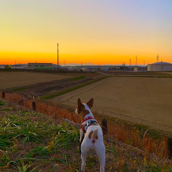 98fd981a cff8 4bfa abdf dbc6c7e48d63 1547385797178