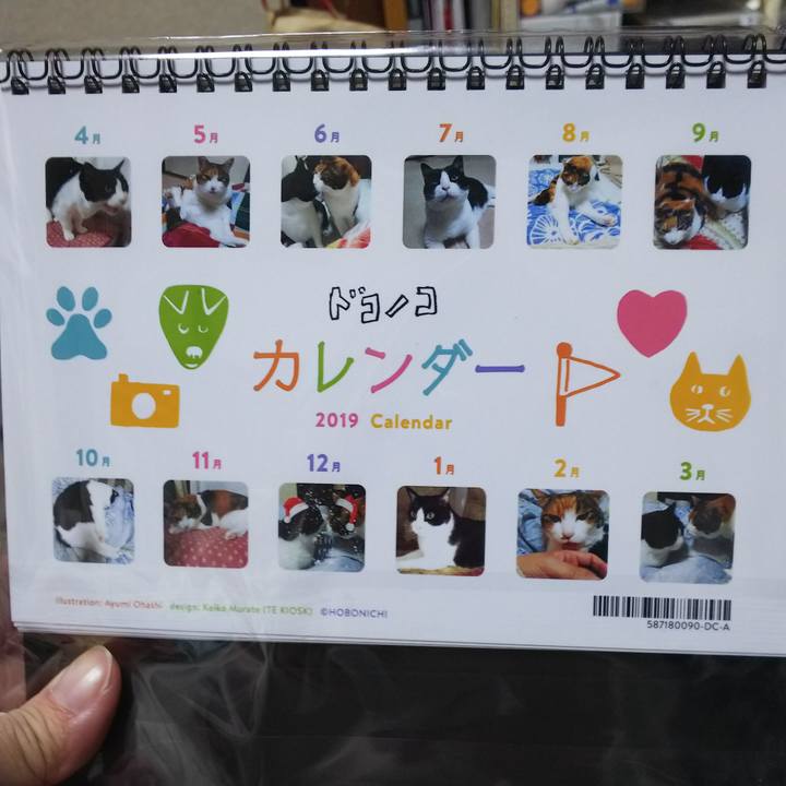 98fd9c42 6e7e 4b2c a87e cf56ab61cc3f 1553683119138