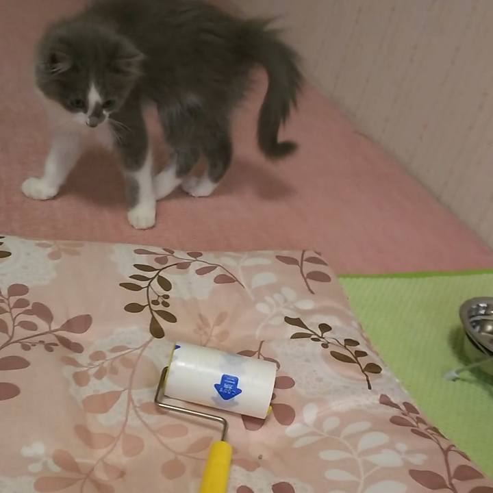 98fdd34e 6879 4358 973e 155d905c5bbd 1562107637671