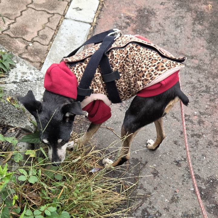 98fdd7c2 2ede 47d2 a081 f6831df48042 1760574083536