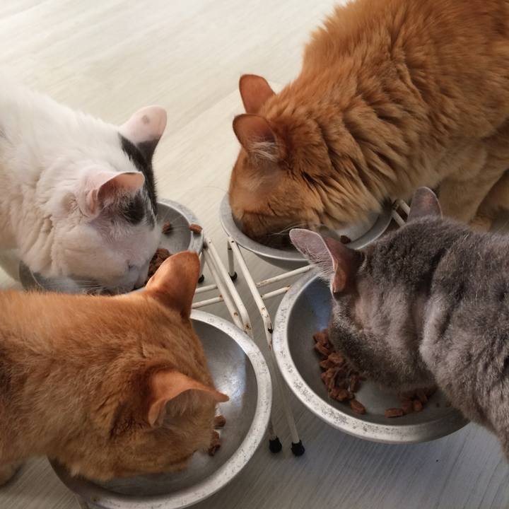 98fdf371 c8d3 4660 bec3 0e2a694715b2 1511965695181