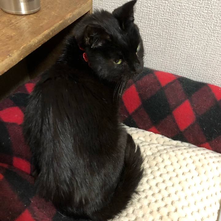 98fe034a dac8 44c3 af3d 0e2a30de5d35 1556711271042