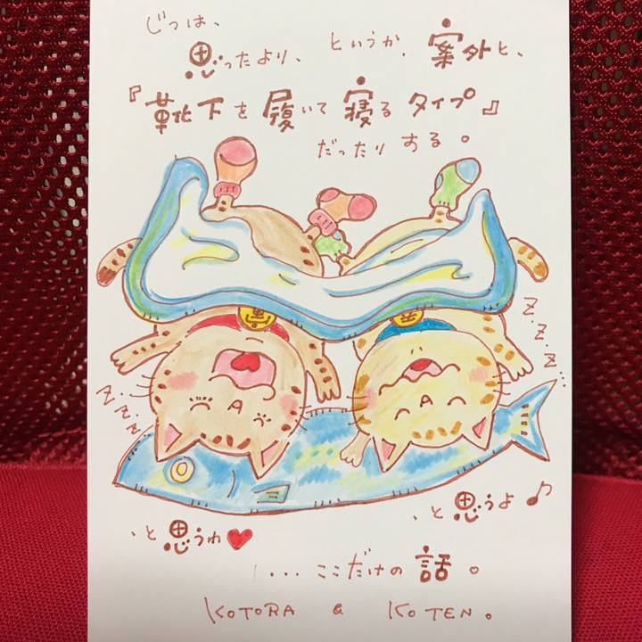 98fe933e 1489 4ea8 8b69 72204713aee1 1550672927502