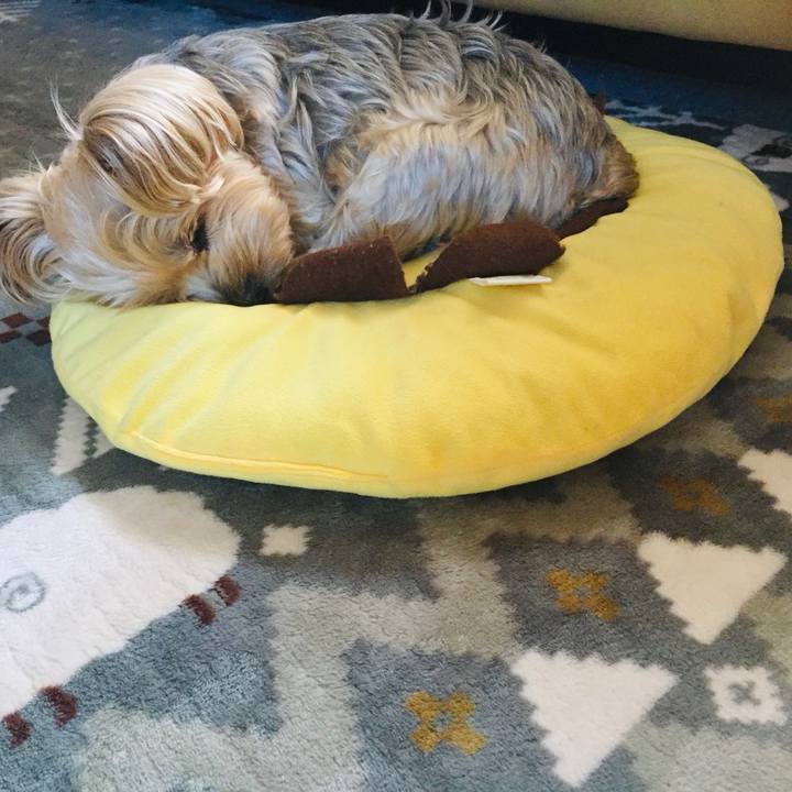 98fe9424 11e2 4e25 b9ba e9517611ca34 1538604313363