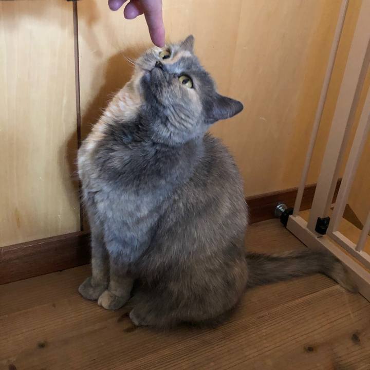 98fe95f6 103f 427c 8147 091220364c8d 1775058357506