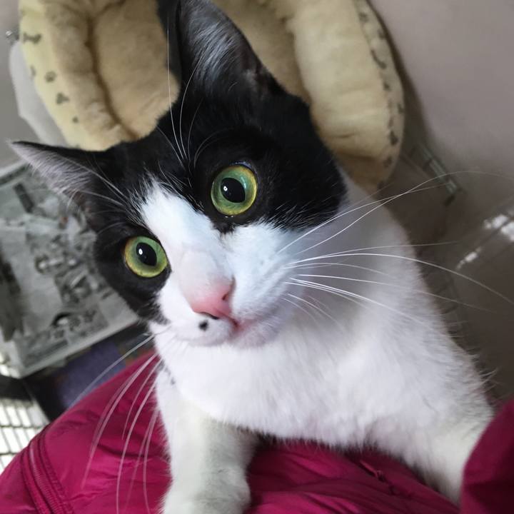 98fe97af 46f8 4d6f b924 1e58f0689552 1517569360757