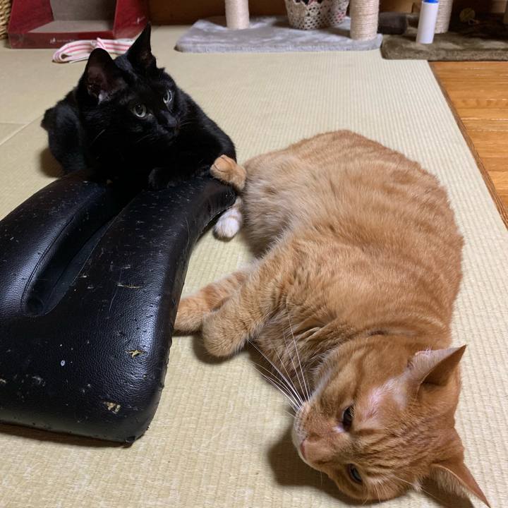 98fe9b4e bc67 43bd b0f1 d7cb13bdf7da 1562680225015