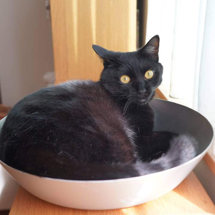 98ff0fb5 9312 4eaa 9950 7a68fff1dbca 1592398807835