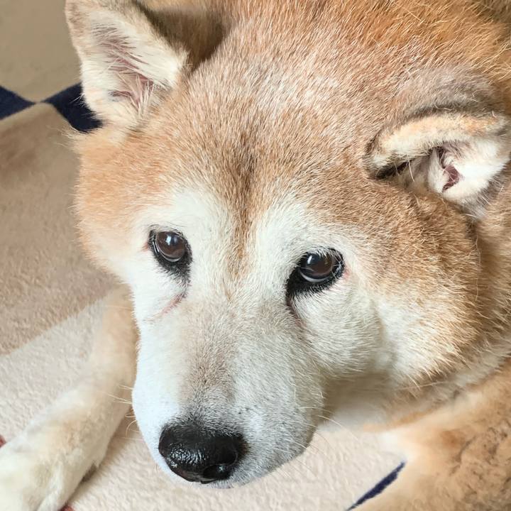 98ff1045 c1ee 49f6 8f89 df70a4050d6d 1631422951039