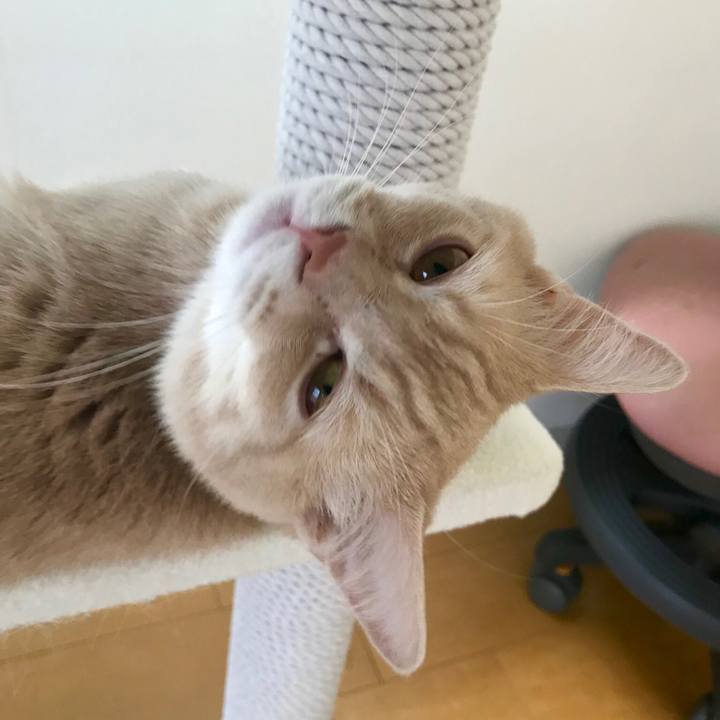 98ff10b7 5c13 4cb8 8a17 aa2f1cc1df0b 1530330946257