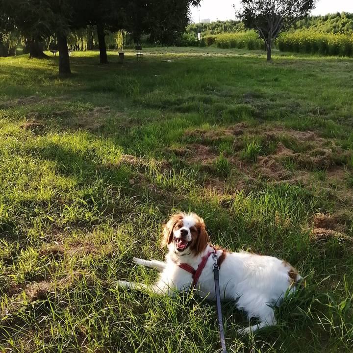 98ff1b90 fe11 4536 bb16 f34a6b8d4f54 1568114688688