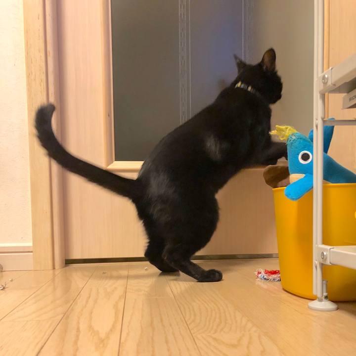 98ff2b32 8f45 4f08 ae9d ede758d08def 1523025846712