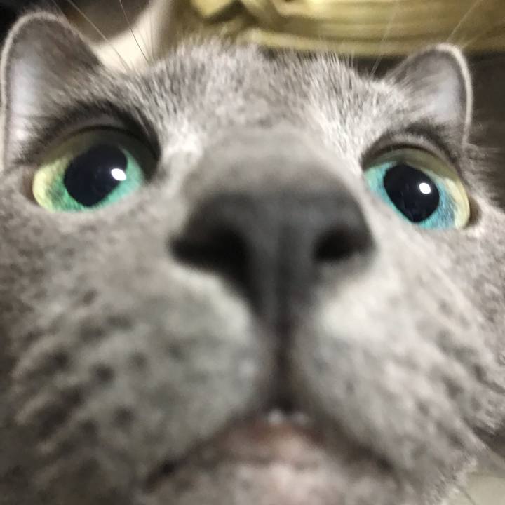 98ff2e2a f118 4f8f 86ac 8023c128f2c5 1543068820271