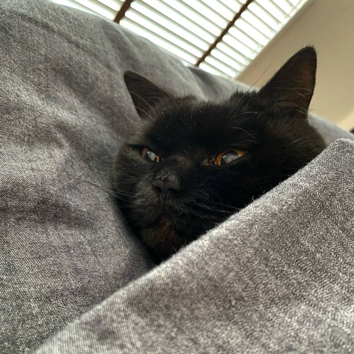 98ff3d01 4a7a 4e7f bff0 fc4b306c28bc 1703974138936