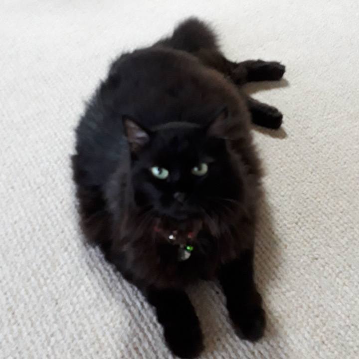 98ffc4bf 6fd5 48be a701 4f5149439b55 1534376853572