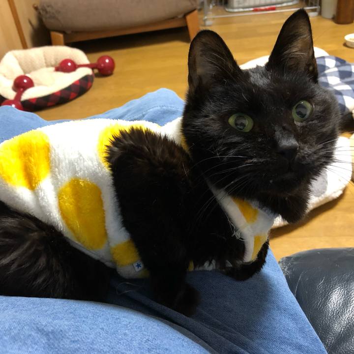 98ffc948 08ea 4b8b 9e9d 37d3425246c0 1556101870454