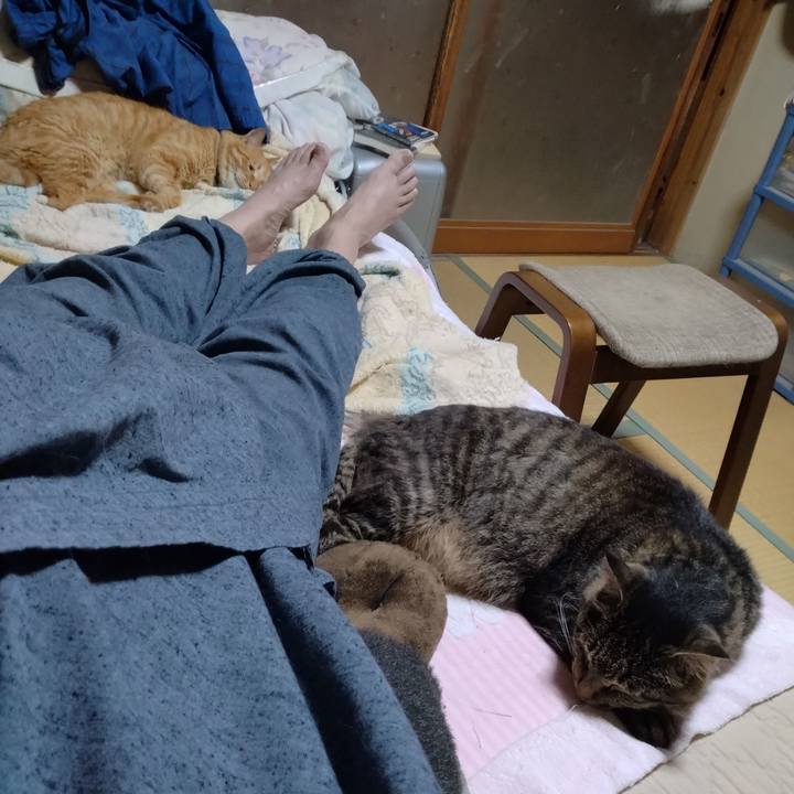 98ffcc01 905b 4787 89e5 7603f2dd24be 1689770566568