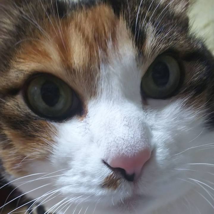 990011ac b92c 4ab2 afc3 74927cc546bf 1580248588479