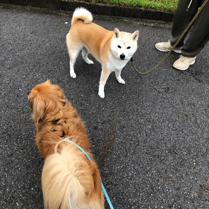 99001973 7715 4b87 ba6b 2530b2a0fb25 1560288704708