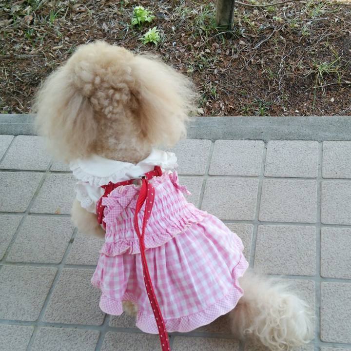 99002a6a 71f6 4fe9 a46e 90538c635e12 1522065362487