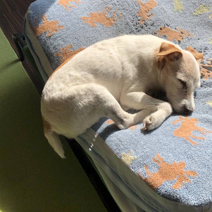 990057bf 2673 467f 81a8 6d0274f8744c 1550614315896