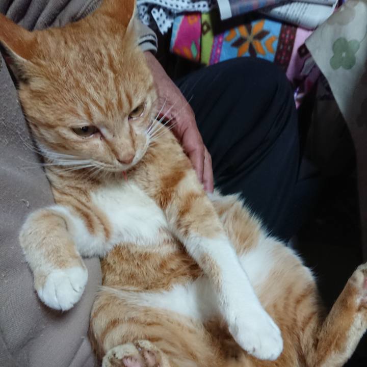 99007445 b00f 472f b814 52145678e33f 1573857540605