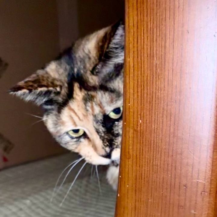 99007850 b508 4e9b a0a2 e90c7bf7dba8 1769290614026