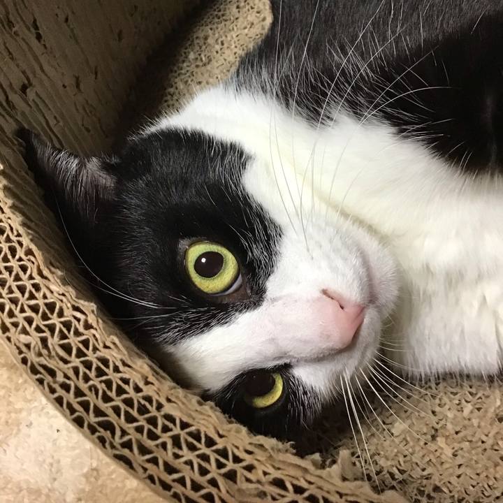 990080eb 8963 4a9f 99f2 2a4f648732b0 1729753774570