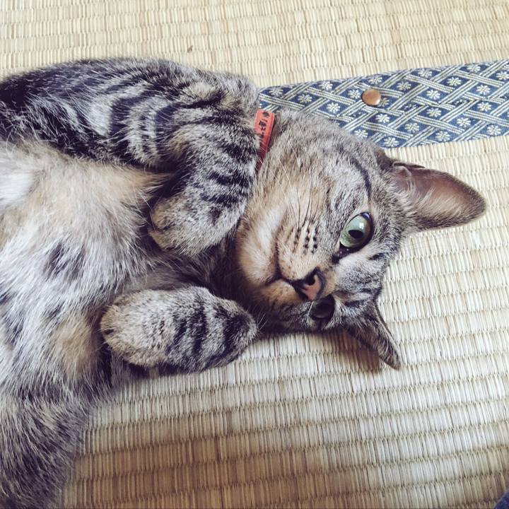 990083ee 8eaa 4c0f 8667 bf4426c71813 1525158830894