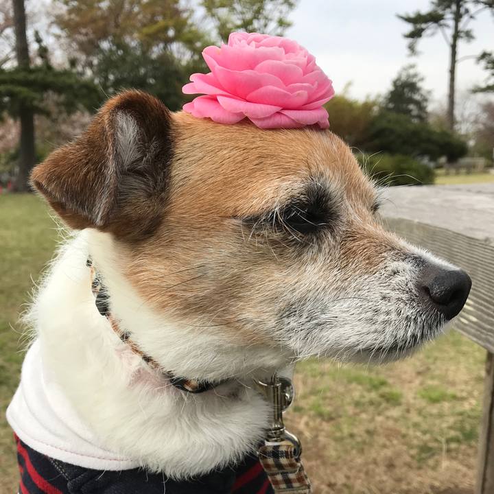 9900921b eb98 4206 a9be 5f5f7f8333a3 1586246405100