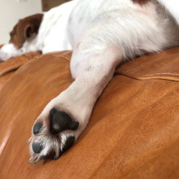 9900e142 3354 4872 9e9e 8c7174f0a34d 1764034734224