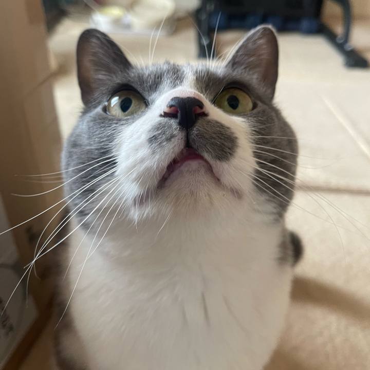 9900f5ad bce2 4c97 911a c1f18251148e 1743290823267