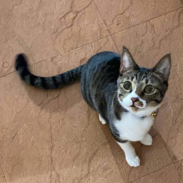 99012dd2 a555 46d5 91a1 a2158914c0c9 1695632597284