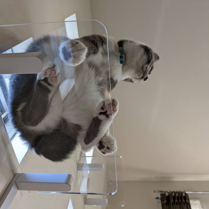 990163b6 e391 4c21 8ec1 03c4b9c2b5d7 1728885142757