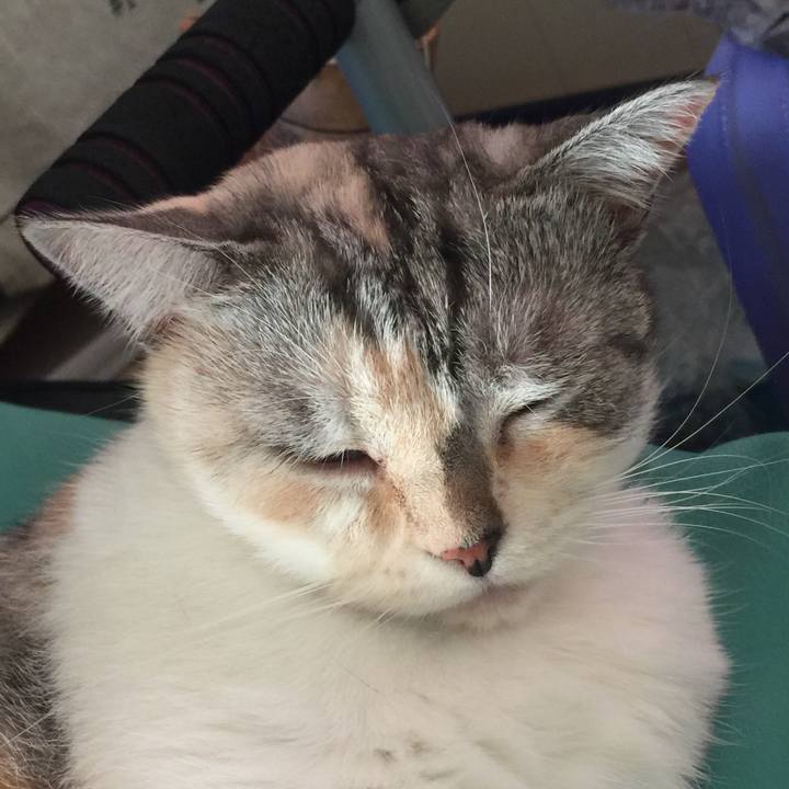 990197a3 b28d 465f b26b d621800e4ca6 1570949273446