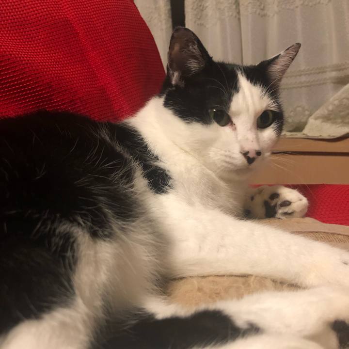 9901bab6 dd6c 4c85 8a4f 05ff9df93c94 1572610326544